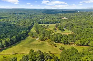 353 Jesse Martin Trail, Canton, GA 30115 - Photo 1