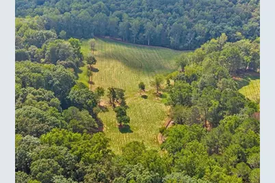 353 Jesse Martin Trail, Canton, GA 30115 - Photo 15