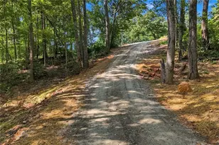 2296 Hwy 136 E, Jasper, GA 30143 - Photo 43