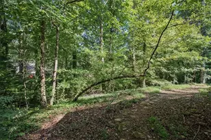 172 Belfast Ct SW, Mableton, GA 30126 - Photo 37