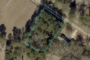 0 Dailey Mill Rd, McDonough, GA 30253 - Photo 1