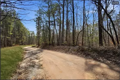64 Bull Gap Road, Talking Rock, GA 30175 - Photo 5