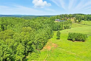 3511 Reavis Mountain Rd, Ball Ground, GA 30107 - Photo 3