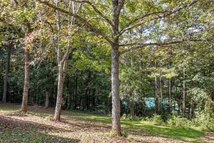 41 Green Forest Pkwy, Jasper, GA 30143 - Photo 45