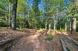 3204 Reavis Mountain Rd, Ball Ground, GA 30107 - Photo 63