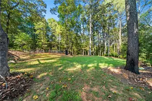 3204 Reavis Mountain Rd, Ball Ground, GA 30107 - Photo 61