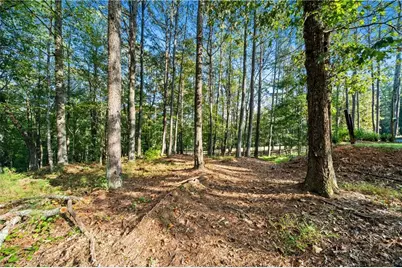 3204 Reavis Mountain Road, Ball Ground, GA 30107 - Photo 75