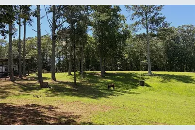 3204 Reavis Mountain Road, Ball Ground, GA 30107 - Photo 13