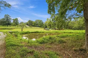 993 Sam Freeman Rd, Hoschton, GA 30548 - Photo 3