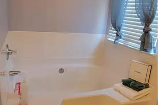 1620 Amelia Ct, Hampton, GA 30228 - Photo 7