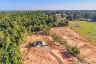 204 Arbacoochee Rd, Tallapoosa, GA 30176 - Photo 37