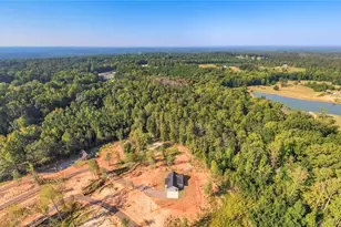 194 Arbacoochee Rd, Tallapoosa, GA 30176 - Photo 39