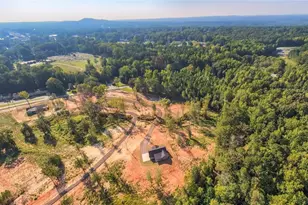 194 Arbacoochee Rd, Tallapoosa, GA 30176 - Photo 41