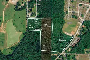 194 Arbacoochee Rd, Tallapoosa, GA 30176 - Photo 43