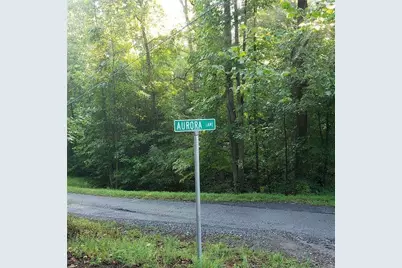 946 Aurora Lane, Ranger, GA 30734 - Photo 3