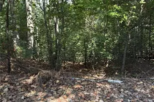 946 Aurora Ln, Ranger, GA 30734 - Photo 1