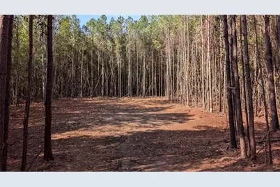 2446 Soap Creek Rd, Ball Ground, GA 30107 - Photo 3