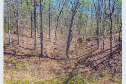 0 Arrow Lane, Lavonia, GA 30553 - Photo 3