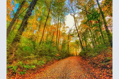500 Big Sky Trail, Dahlonega, GA 30533 - Photo 47