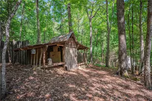 149 River Ridge Rd, Blue Ridge, GA 30513 - Photo 53