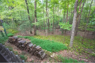 149 River Ridge Road, Blue Ridge, GA 30513 - Photo 61