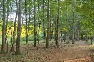 240 Victory Dashboard Rd, Bowdon, GA 30108 - Photo 11