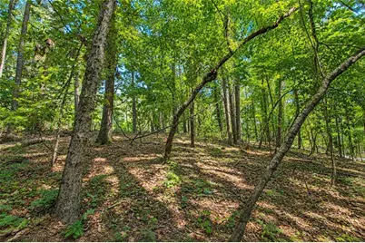 0 Buice Road, Johns Creek, GA 30022 - Photo 7