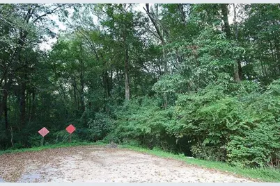 0 Freeman Drive, Stockbridge, GA 30281 - Photo 7