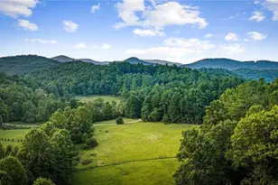 361 Forest Service Rd, Epworth, GA 30541 - Photo 49