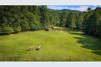 361 Forest Service Road, Epworth, GA 30541 - Photo 47