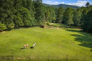 361 Forest Service Rd, Epworth, GA 30541 - Photo 47