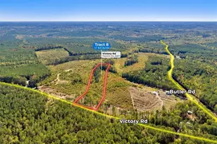 0 Tract 8 Victory Rd, Franklin, GA 30217 - Photo 1