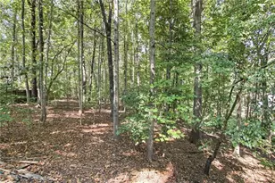 504 Chestnut Ridge, Woodstock, GA 30189 - Photo 25