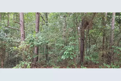 2678 Sleepy Hollow Road, Monroe, GA 30655 - Photo 1