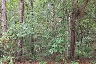 2678 Sleepy Hollow Rd, Monroe, GA 30655 - Photo 1