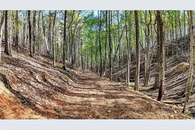 7433 Nicklesville Road, Ranger, GA 30734 - Photo 47