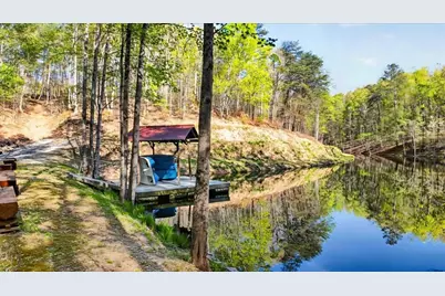7433 Nicklesville Road, Ranger, GA 30734 - Photo 43