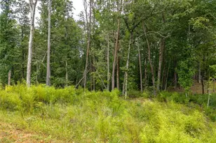 163 Tuscany Dr, Ellijay, GA 30540 - Photo 7
