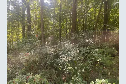 161 Apache Trail, Martin, GA 30557 - Photo 1