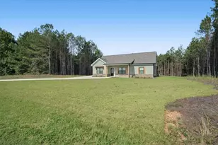466 Mt Zion Church Rd, Tallapoosa, GA 30176 - Photo 3