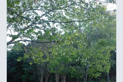 [Address not provided], Dawsonville, GA 30534 - Photo 41
