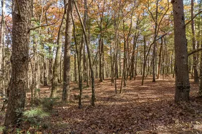 Tr 1 Old Anderson Creek, Ellijay, GA 30536 - Photo 3