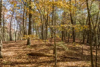 Tr 1 Old Anderson Creek, Ellijay, GA 30536 - Photo 7