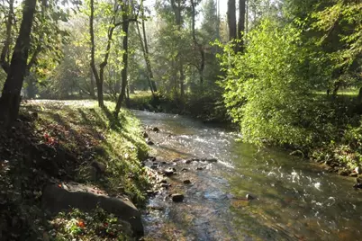 Tr 1 Old Anderson Creek, Ellijay, GA 30536 - Photo 23