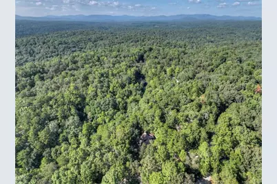 1503 Garnet Drive, Ellijay, GA 30540 - Photo 55
