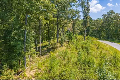 Lot 31 Freestone Street, Talking Rock, GA 30175 - Photo 13