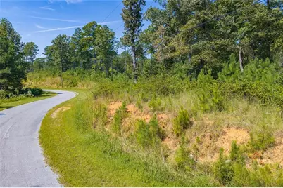 Lot 31 Freestone Street, Talking Rock, GA 30175 - Photo 5