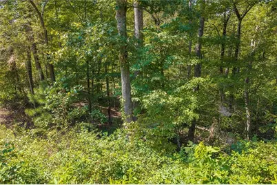 Lot 31 Freestone Street, Talking Rock, GA 30175 - Photo 3