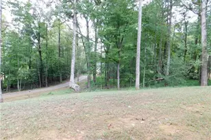 47 Chester Rd, Dahlonega, GA 30533 - Photo 35