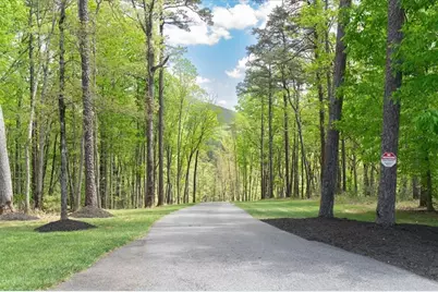 545 Cowart Mountain Road, Jasper, GA 30143 - Photo 41